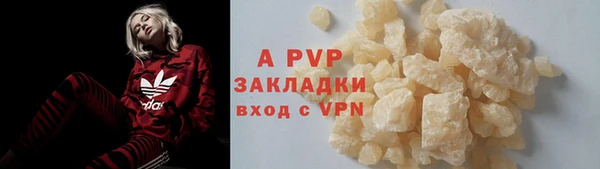 mdpv Бородино